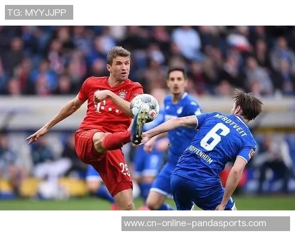 塔拉戈纳与艾科坎比赛中断原因揭秘及后续影响分析